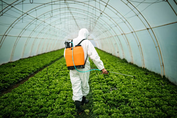 Best Residential Pest Control  in Lake Shore, MN