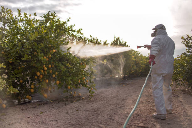 Professional Pest Control in Lake Shore, MN