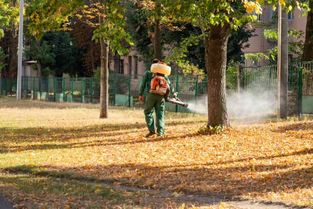 Best Pest Removal Services  in Lake Shore, MN