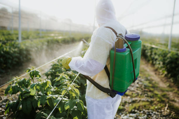 Best Commercial Pest Control Services  in Lake Shore, MN